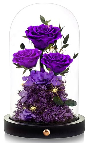 Agrul Birthday Gifts for Women Forever Preserved Flowers Roses in Glass Dome Anniversary Flowers Gifts for Women Mom Wife Girlfriend Daughter Birthday Gifts/Purple Rose