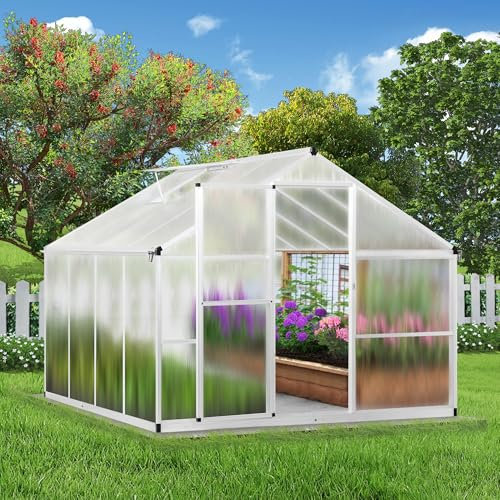 Euboer Serra in alluminio con 242 x 238 cm, fondazione da 4 mm, serre da giardino grandi e resistenti all'inverno, allevamento per aiuole, 8,49 m³
