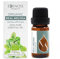 Essences Bulgaria BIO Zitronenmelisse Ätherisches Öl 10ml | Melissa officinalis | 100% Naturrein | Unverdünnt | BIO-zertifiziert | Spitzenqualität aus Familienbetrieb | Ohne Gentechnik | Vegan