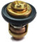 Termostato a motore barca per Yamaha Outboard F 4HP - 70HP 66M-12411-01 6G8-12411 60 gradi 4 tempi Motore