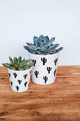 Ivyline Maceta, cerámica, Negro/Blanco, 9 cm