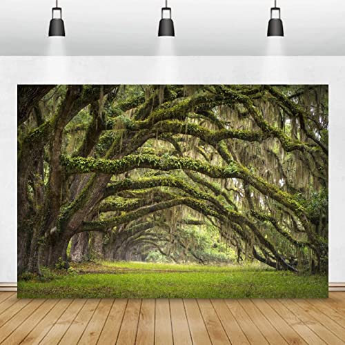 XAONUO Papier Peint Photo 3D Optique Parc Pelouse Plantes Arbres Trompe L Oeil | Déco Mural Tableaux Muraux Photo 400X280Cm Mural Décor Motif Poster Géant Stickers Muraux Optique Fond Effet