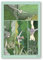 Moebius Arzak Sammelposter – Der letzte Aufwand (50 x 70 cm)