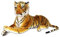Tiger Kuscheltier XXL – Ca. 85 cm Groß, Realistisches Design, Hochwertig Verarbeitet, Kuschelig Weich, Füllmaterial Aus 100% Recycelten Plastikflaschen, Mit Kunststoffaugen (Braun)