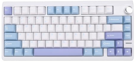 Diyeeni Kabellose Mechanische Tastatur, 79-Tasten-Gaming-Tastatur mit Knopfs, 3-Modus-Verbindung, RGB-Hintergrundbeleuchtung, Wiederaufladbarer 4000-mAh-akkus, Unterstützung für Wins (Purple)