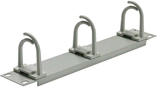 Tritón RAC-VP-X02-C1 25,4 cm (10 Zoll) Rangierpanel, Kabelführung, 1HE schwarz