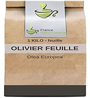 Tisane Olivier feuille 1 KILO Olea europea.
