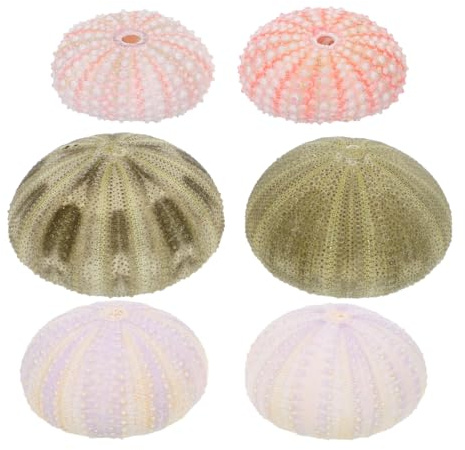 FRCOLOR 6 StüCk Seeigel Dekore Aquarium ZubehöR NatüRliche Unterwasser Dekorationen FüR Fischtank Mit Muschel Und Luftpflanze FüR Heim Und BüRo
