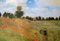 Kunstdruck, Poster, Claude Monet Mohnfeld bei Argenteuil, C. Monet Campo di papaveri - 70 x 100 cm