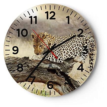 Modern Wanduhr Afrika Leopard Katze Safari 40x40cm Rund Groß Wand Uhr Glas Analog Zimmeruhren Küche Büro Wohnzimmer Glasuhr Wall Clock Dekoration Design Wanddekoration Küchenuhr C4AR40x40-2599