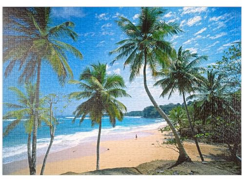 MyPuzzle Playa Grande, Rio San Juan, Maria Trinidad Sanchez, Dominikanische Republik - Premium 1000 Teile Puzzle - MyPuzzle Sonderkollektion von Puzzle Galaxy