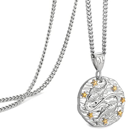 Speroto Pisces Necklace Zodiac Necklace for Women Men Stainless Steel 12 Constellation Mens Necklace Horoscope Astrology Embossed Pendant Necklace Ideal Gifts for Women and Men(silver, Pisces)