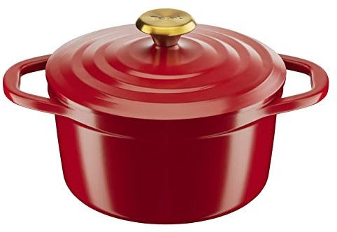 Tefal Olla de cocina de aire de 24 cm, horno holandés ligero de aluminio fundido con tapa de condensación, fácil de limpiar, olla segura con revestimiento de cerámica, resistente, apta para horno,