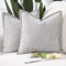 Madizz 2er Set Chenille Samt mit Rand Kissenbezüge Weiche Dekorativ Zierkissenbezüge Modern Kissenhülle für Sofa Wohnzimmer Schlafzimmer Haferflocken 60x60 cm
