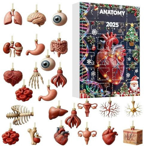 2025 Anatomy Dvent Calendąr – 24 Tage menschlicher Körper Ornament Set Skelett, Herz & Gehirn Figuren – Wissenschaft Dvent Kalender für Ärzte & Anatomie-Liebhaber, Weihnachtsdekoration