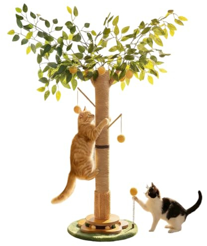 DOKKOME Arbre à Chat avec Corde en sisal de qualité supérieure - Balles interactives - Jouet pour l'intérieur - pour Chatons et Chats