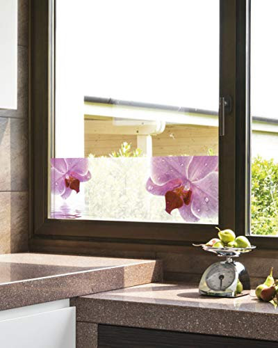 Fenster-Sichtschutz / 8 Verschiedene Motive/Fensterfolie / Schutzfolie (Orchidee)