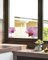Fenster-Sichtschutz / 8 Verschiedene Motive/Fensterfolie / Schutzfolie (Orchidee)