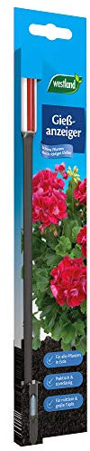 Westland 732196 Gießanzeiger groß, 26 cm, anthrazit – Pflanzen Gießmelder, Wasserbedarf-Anzeige für Pflanzen in Blumenerde