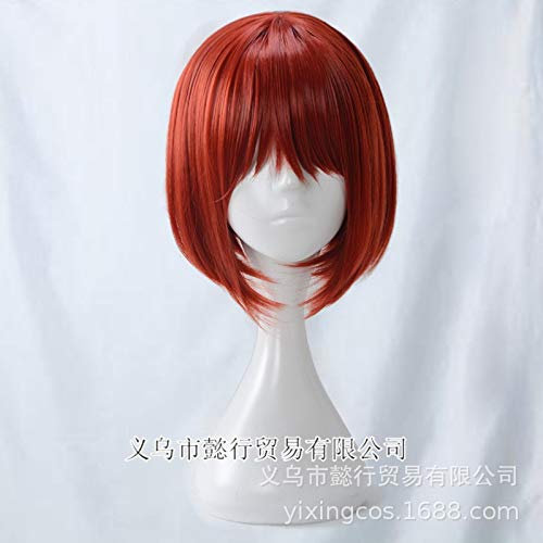 Mahoutsukai No Yome Chise Hatori Cosplay Perücken Kurze rote Cosplay Perücke Hitzebeständige synthetische Perücke Perucas YX-969