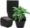 GGOUPTY Plastic Square Plant Pots 10 cm 25 Pcs Succulent Planter Nursery Pots for Flower Staring Seedling