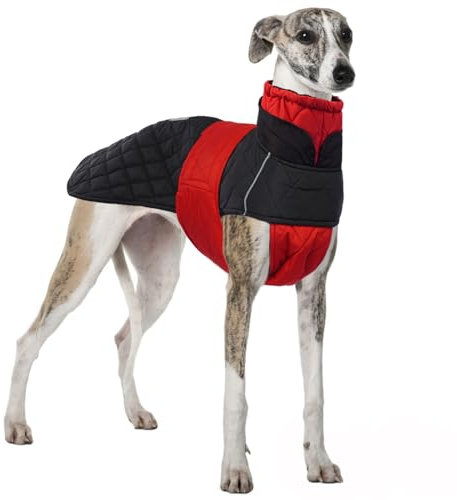 wasserdichte Salukis Mäntel, Hundepullover Fleece Windhund Jacke Schneeanzug Windhund Winter Outfit Hundemantel Windhund Reflektierend