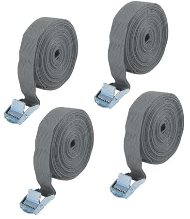 A ABSOPRO 4 Stück Auto Cargo Zurrgurte mit Nockenverschluss Schnalle aus Nylon Grau 5 m * 2,5 cm Artikelaustausch