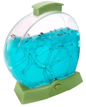 FENGJISUN Ameisenfarm Ameisen Farm Ameisenfarm Als Bildungs- Und Lernset Für Beobachten Und Studieren Von Ameisenkolonien, Tunnelbau, Teamarbeit, Insekten Ameisenfarm Erwachsener(Grün)