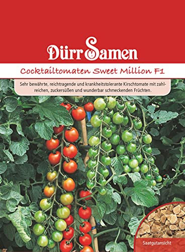 Cocktailtomate Samen Sweet MillionSamen Kirschtomate Rote Tomate Tomatensamen ca 20 Korn Saatgut Robust Ertragreich Garten Hochbeet Kübel Dürr Samen