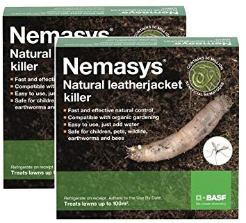 2 X Nemasys leatherjacket killer (100sqm pack)