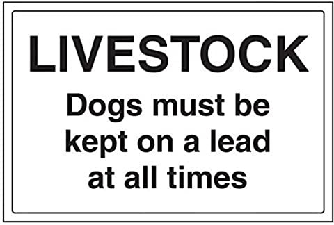 VSafety 76031BA-R Allgemeine Landwirtschaftliche Schild, Vieh/Hunde müssen stets an der Leine gehalten werden, starrer Kunststoff, Querformat, 300 mm x 200 mm, schwarz.