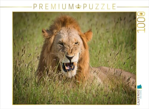 CALVENDO Puzzle Löwe im Gras | 1000 Teile Lege-Größe 64 x 48 cm Foto-Puzzle für glückliche Stunden