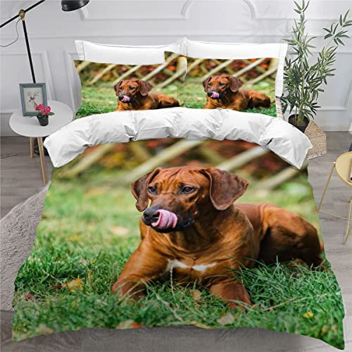 IMSTAM Bettwäsche 155x220 3 Teilig Rhodesian Ridgeback Bettwäsche Reißverschluss Mikrofaser 3D Bettbezug Teenager Jungen Mädchen Haustier Schokolade Bettwäsche Schlafkomfort Flauschig