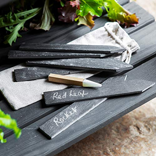 Slate Herb Garden Marker Tags - Set of 6 - By CKB LTD Also Includes Soapstone Pencil - Nursery Garden Plant Pot Flowers Seeding Label Markers Planting Stakes