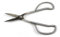 Planeta Huerto Bonsái Forbici 3 in 1 210 mm inox RYUGA