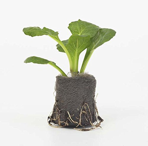 Viridis Hortus - Jiffy-7 100 x 24mm Propagation Plug Pellets (No Root Disturbance - Better Plant Survival)
