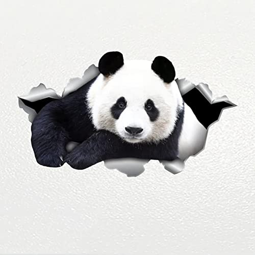 PBHYDK 2Pcs Panda Aufkleber Panda Aufkleber Panda Autoaufkleber Netter Panda Aufkleber Tier Aufkleber Panda Auto Dekor Aufkleber Auto Laptop Koffer LKW Zubehör