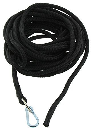 Dinoleine Schleppleine mit Halsband, Inkl. Standard Messing-Karabiner, Polyester-Leine/Baumwoll-Halsband, Maße: 5 Meter, Schwarz, 300602