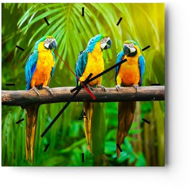 Modern Wanduhr Papageien Collorful Natur Vögel 40x40cm Quadrat Groß Wand Uhr Glas Analog Zimmeruhren Küche Büro Wohnzimmer Glasuhr Wall Clock Dekoration Design Wanddekoration Küchenuhr C3AC40x40-2696