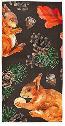 GAIREG Handtuch mit Eichhörnchen-Muster, Baumwolle, saugfähig, weich, dekoratives Handtuch für Badezimmer, 38,1 x 76,2 cm