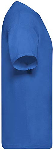 Fruit of the Loom Screen Stars Mens Original Short Sleeve T-Shirt (3XL, Royal)