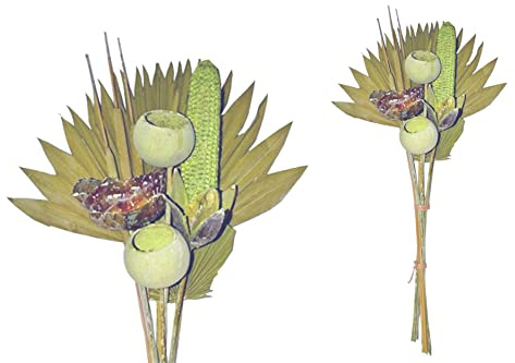 finehomegarden Exoten Sortiment 10-teilig Trockenblumen Strauß Boho Style Exotic Palmspeer Kiwi grün Frosted 60cm Grabaufleger Trauerfloristik Allerheiligen Herbstdeko Totensonntag