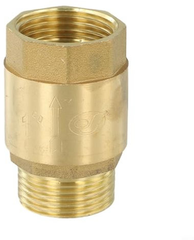 Messing Rückschlagventil mit Edelstahlfeder für Rückfluss in verschiedenen Rohrleitungssystemen, 1 5MPA Max Druck (1 Zoll)