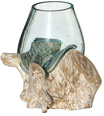 Wogeka - Glas-Vase auf weißem Wurzel-Holz - White Line Collection - Ø Glas 13-14 cm, als Maritime Mediterrane Deko Geschenk-Idee GlasSw