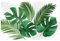 Macosa U1790310_x4 Tischset 4 STK. Dschungel Kunststoff 44 cm rechteckig Platzsets abwischbar Tischdeko Tischmatte Platzmatte Tisch-Unterlage Tischset Blätter Platzdeckchen