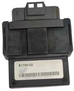 Zündspule Dreirad für Roller EFI Deli ECU Controller Zündung(E1700-02)