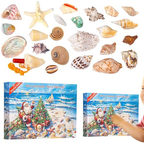 Christmas Countdown - Yuletide Activity Set, Festive Shell Collection, Creative Discovery Pack, Daily Surprise Range, Winter Curiosity Pack, Seasonal Learning Set, Merry Countdown Group | Home Corners