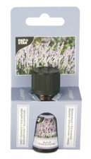 PapStar 83258, Duftöl 10 ml Lavender