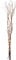 Star 584-33, WeidendekoWillow, 24 warmwhite LED, Holz, Braun, 0.8 x 0.8 x 6.0 cm