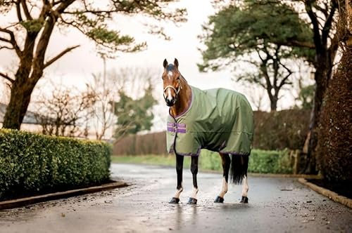 Horseware Amigo Hero 600D Ripstop 50g Turnout Decke wasserdicht bramble/Winterberry, Größe:5'9/125